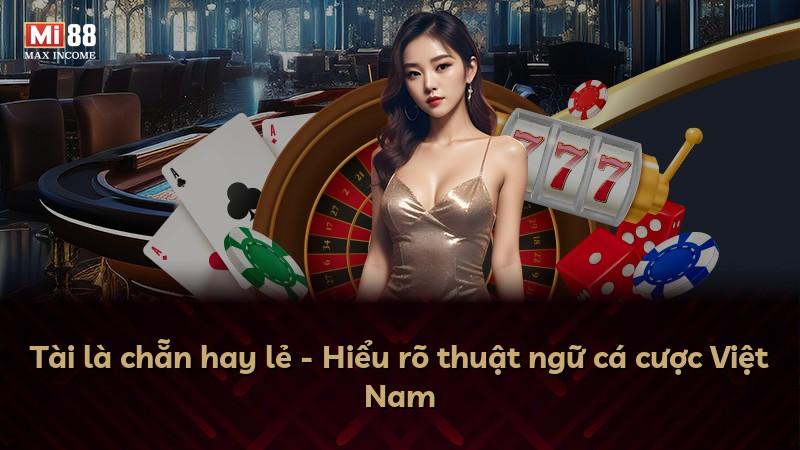 Tài là chẵn hay lẻ - Hiểu rõ thuật ngữ cá cược Việt Nam